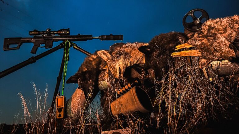 Nighttime Predator Hunting in the Southeast: A Deep Dive with Nightshade Optics
